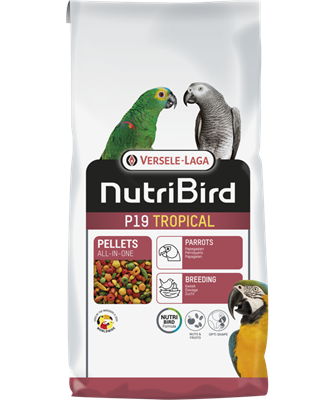 Orlux Eggfood dry large parakeets & parrots