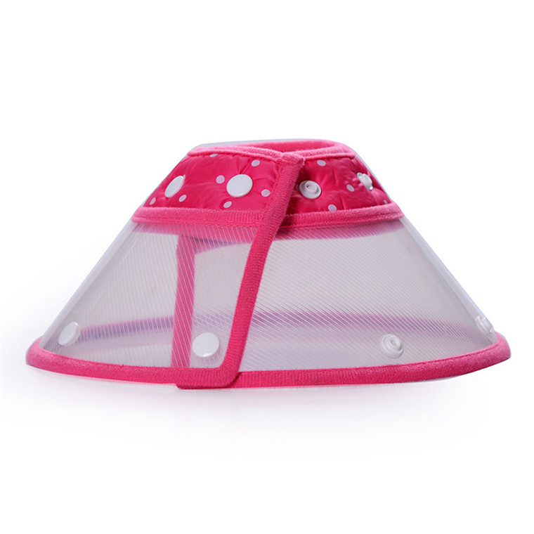 Orlux Eggfood dry large parakeets & parrots