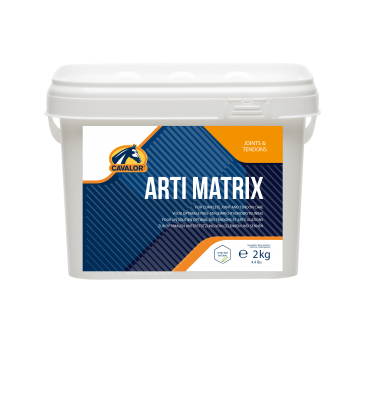 Orlux Eggfood dry large parakeets & parrots