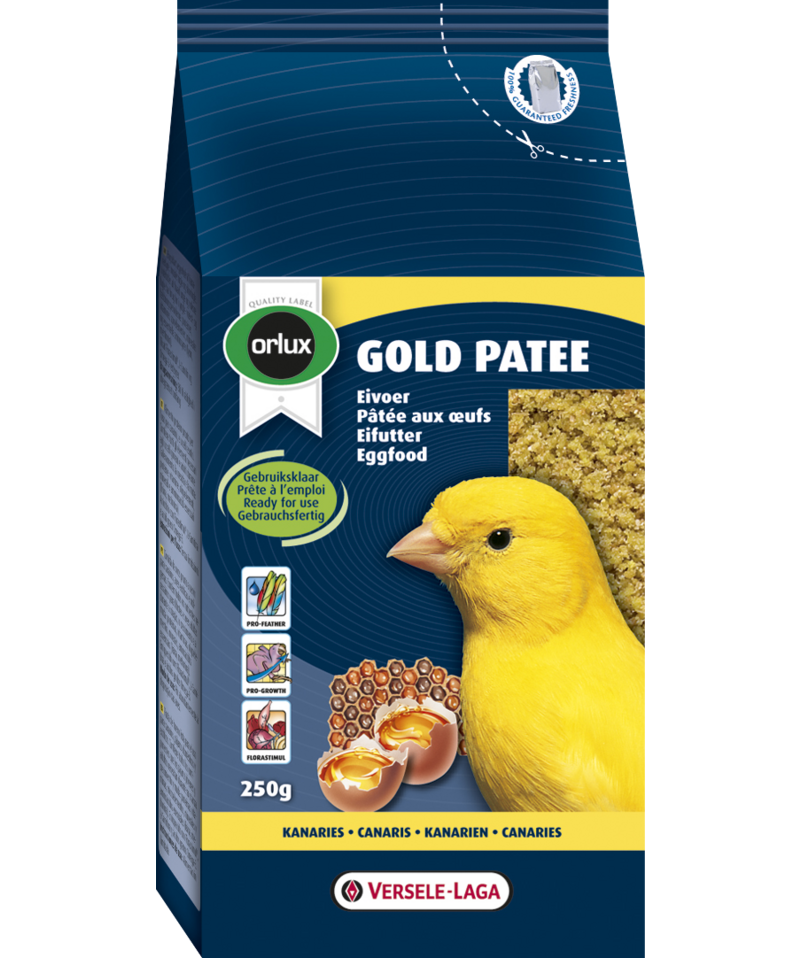 Gold Patee Canaries 1Kg