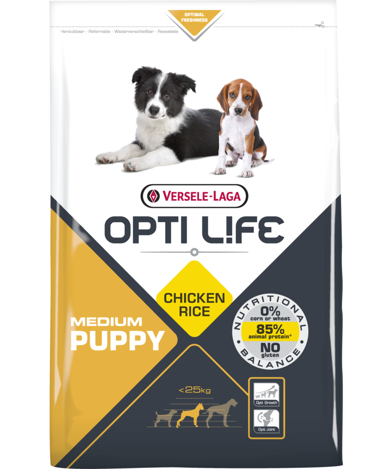 Orlux Eggfood dry large parakeets & parrots