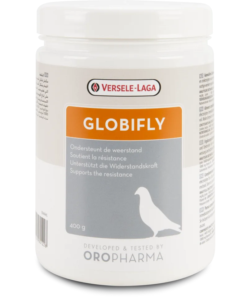 Orlux Eggfood dry large parakeets & parrots