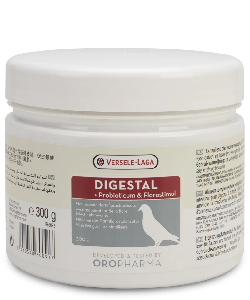 Digestal 300 GM