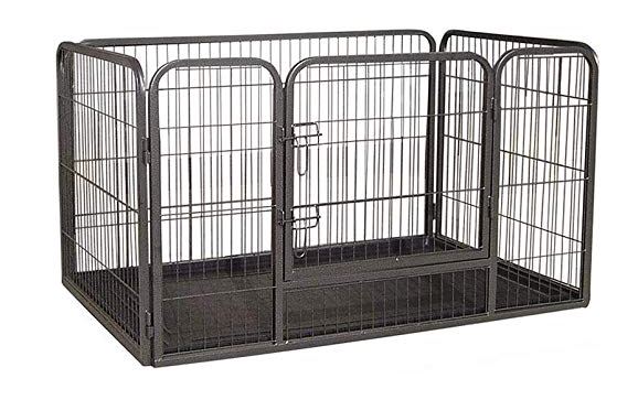 Orlux Eggfood dry large parakeets & parrots