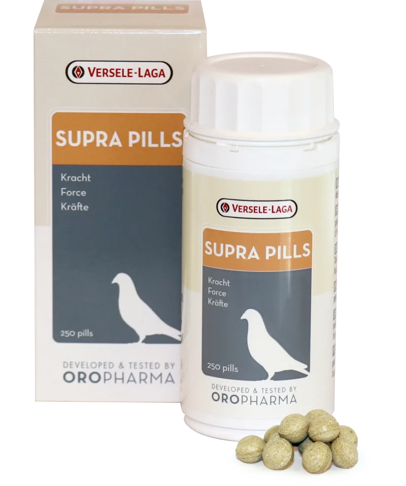 Orlux Eggfood dry large parakeets & parrots