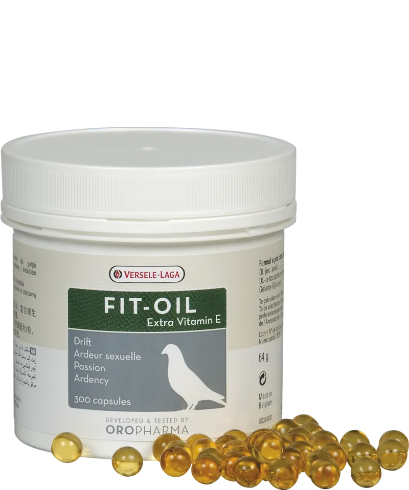 Orlux Eggfood dry large parakeets & parrots