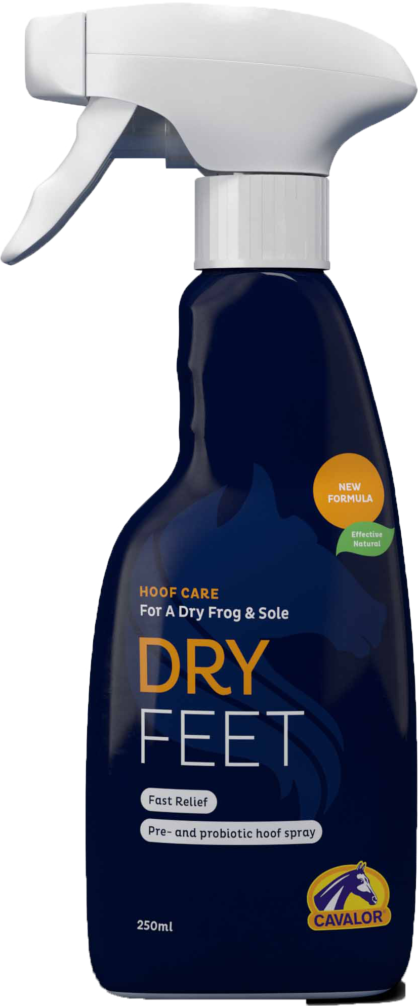Orlux Eggfood dry large parakeets & parrots