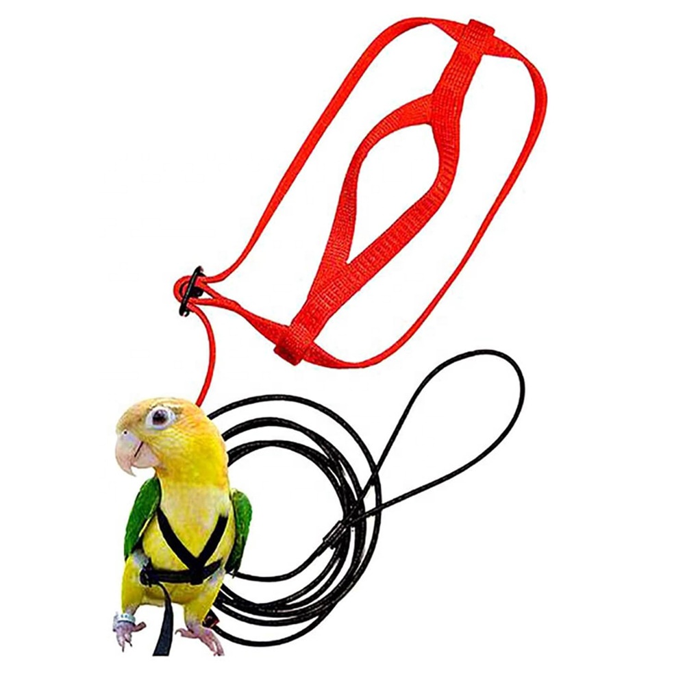 Orlux Eggfood dry large parakeets & parrots