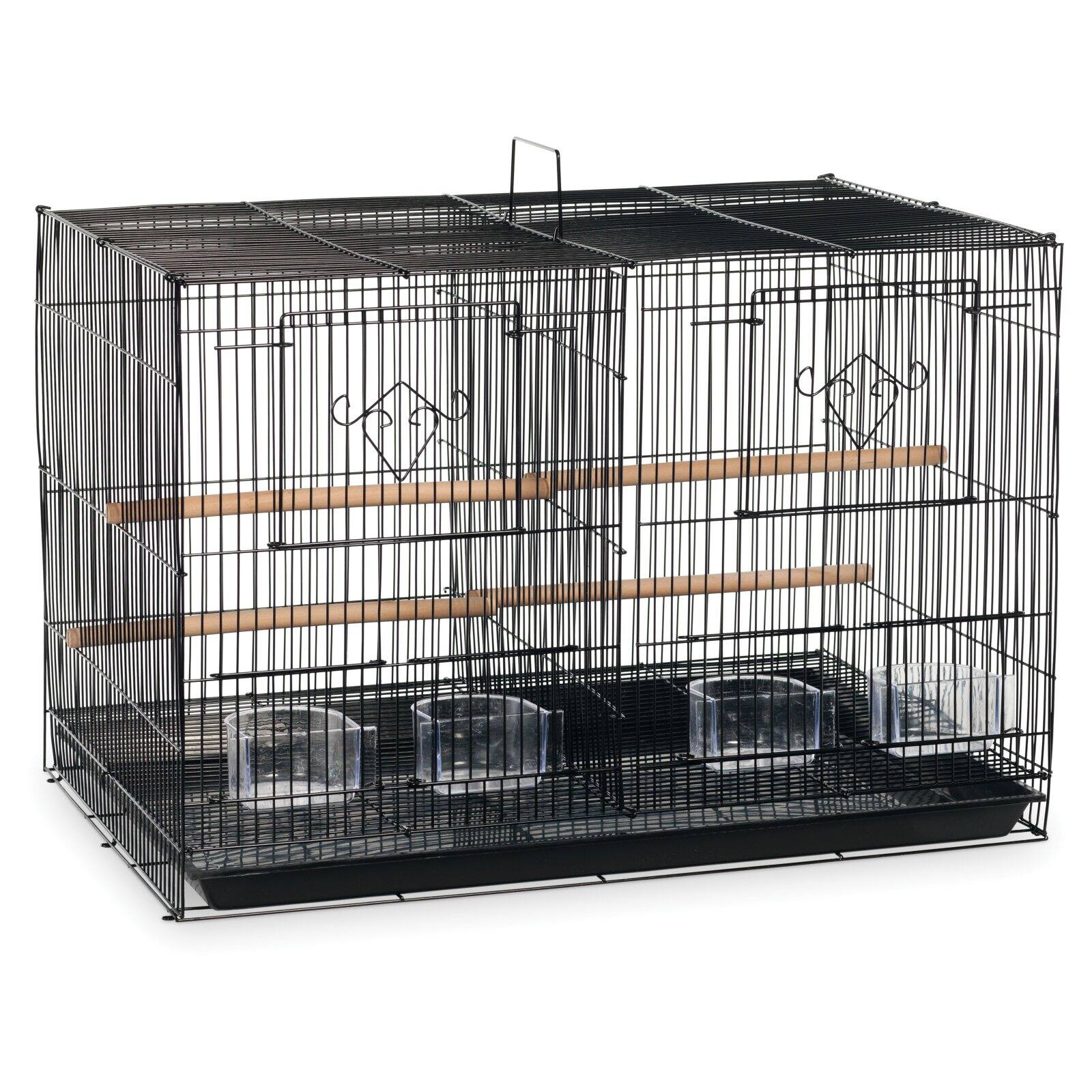Orlux Eggfood dry large parakeets & parrots