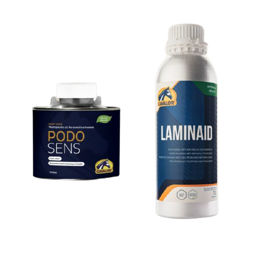 Orlux Eggfood dry large parakeets & parrots