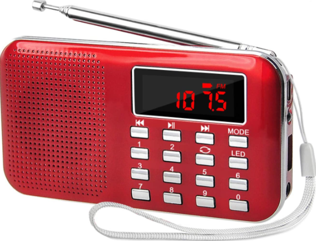 Parrot Recording for Training