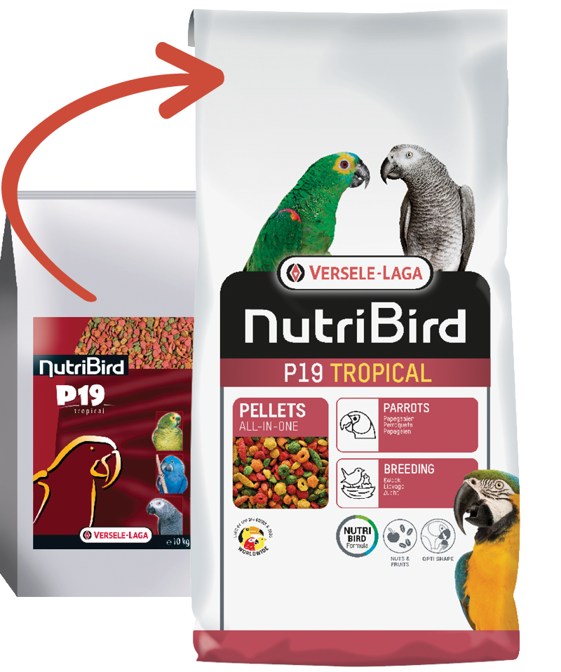 Orlux Eggfood dry large parakeets & parrots