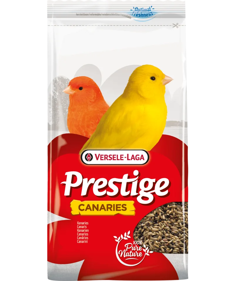 Orlux Eggfood dry large parakeets & parrots