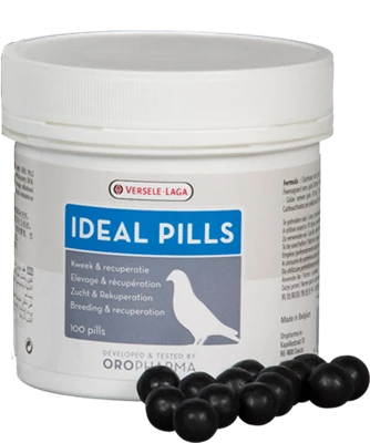 Orlux Eggfood dry large parakeets & parrots