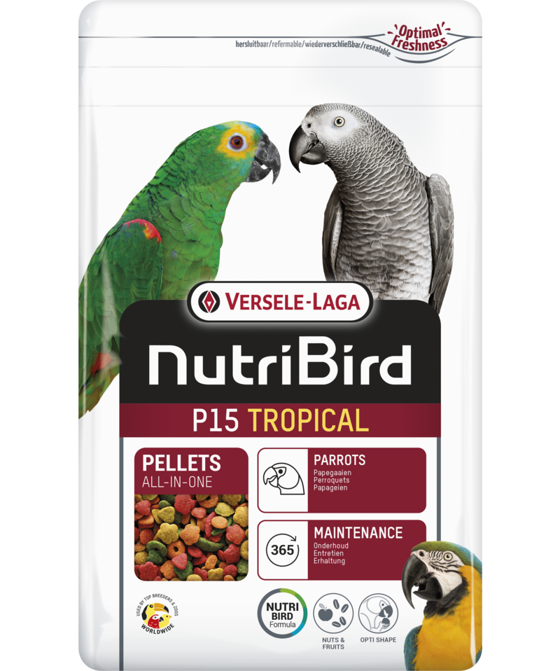 Orlux Eggfood dry large parakeets & parrots