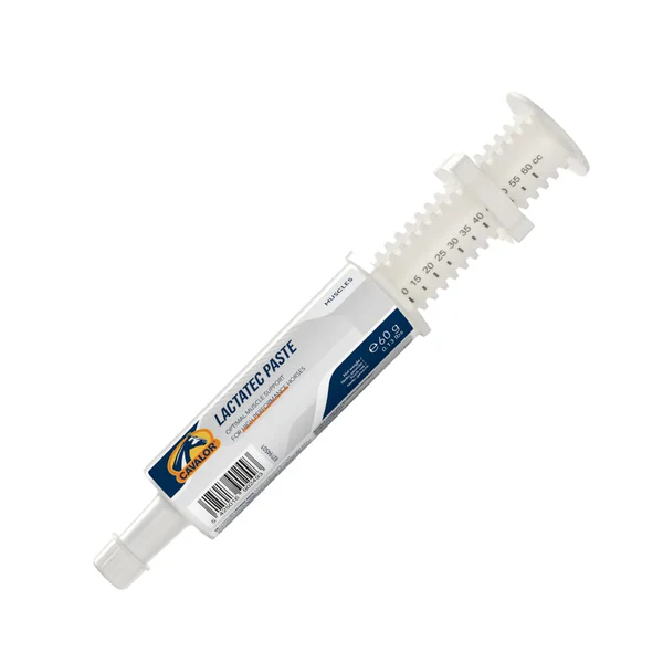 Lactatec Paste 60gm