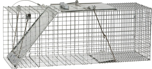 Orlux Eggfood dry large parakeets & parrots