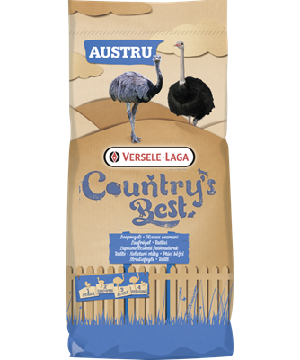 Bully Sticks