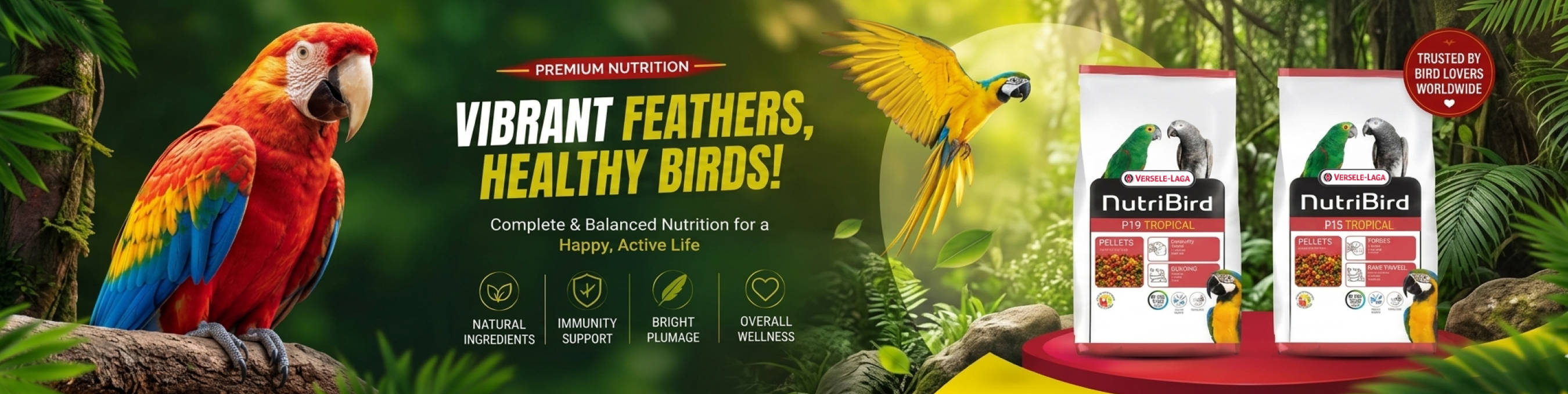 birds