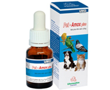 Pet Amox Plus Powder for Oral Suspension