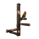 [6920024024030] Parrot Apple Wood Ladder Perch W24cm*H30cm