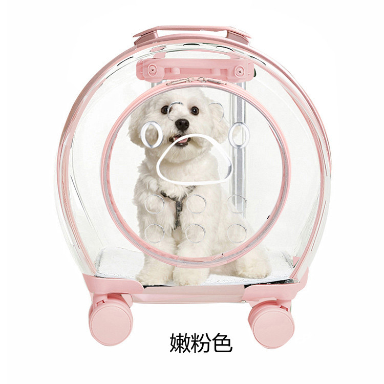 With Door Transparent Pet Trolley Case Light Pink