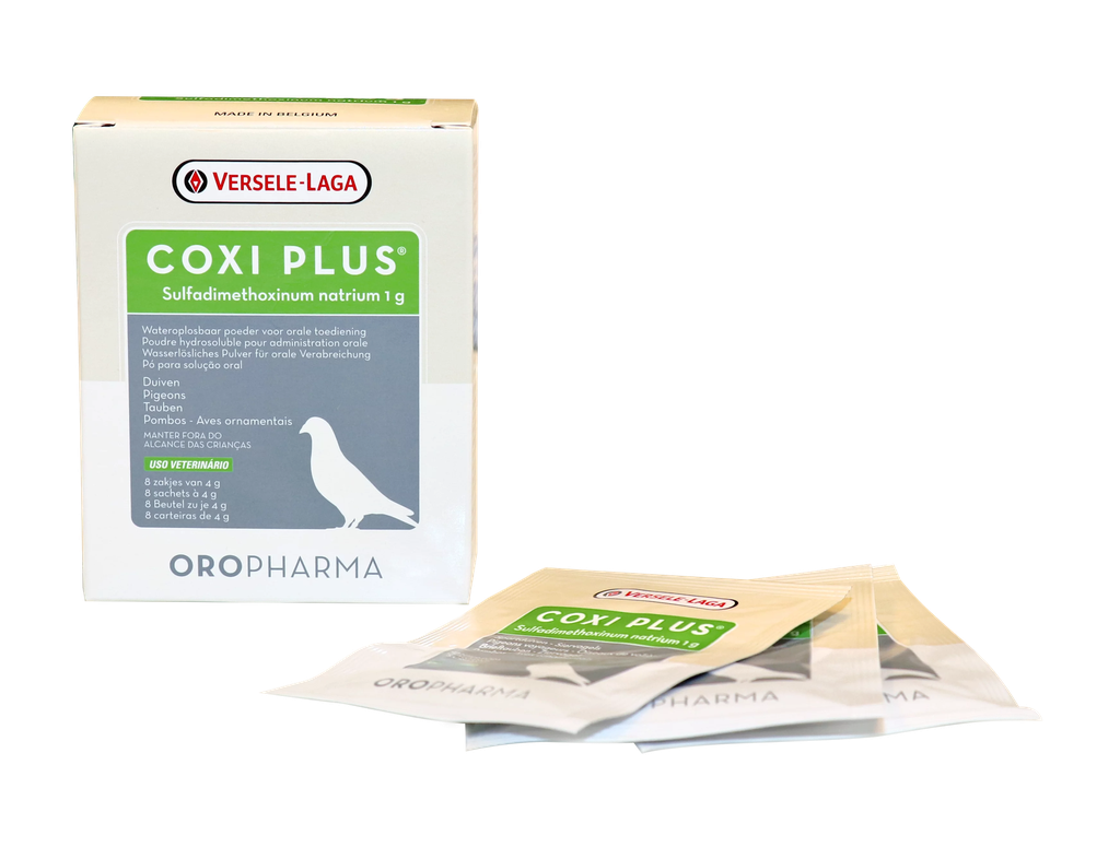 Coxi Plus 8 sachet