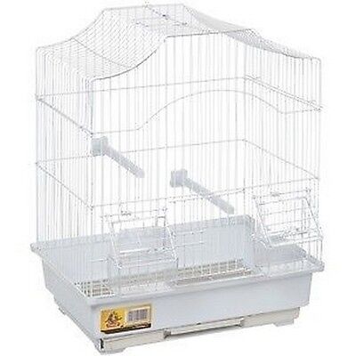 Bird Cage Lampung