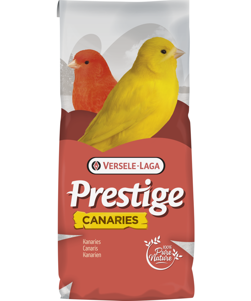 Canary 20kg