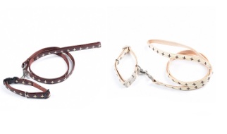 Card 8Pcs Collar+Leash Oliver 15Mm