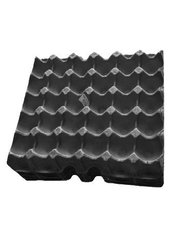 Cartoon Egg Tray Green