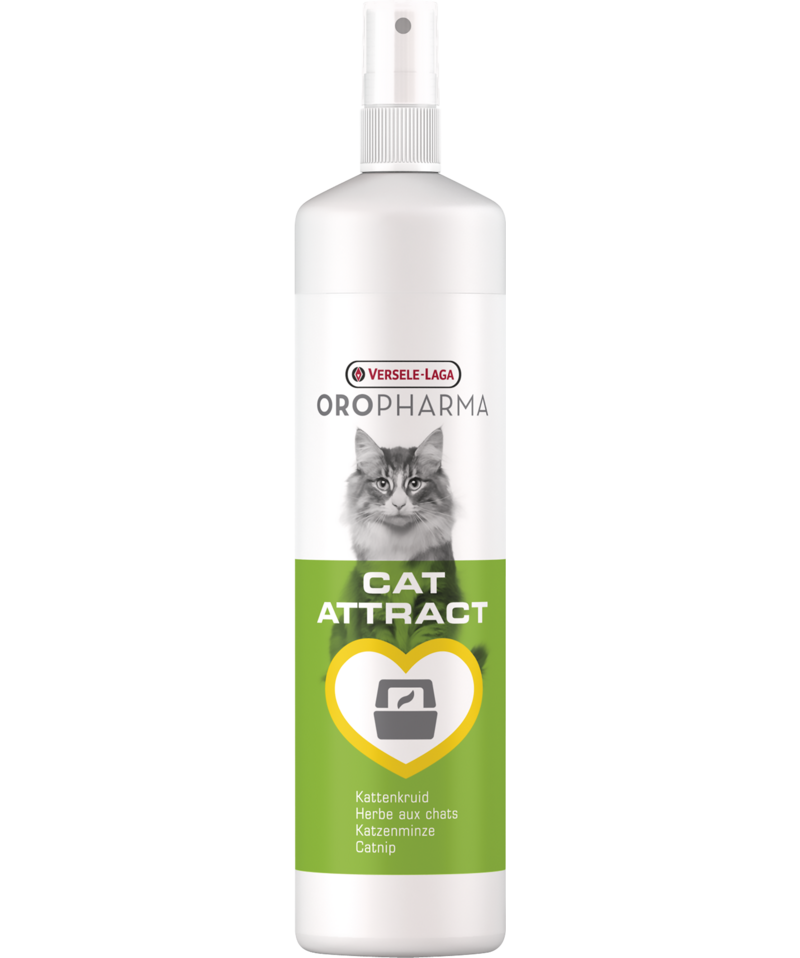 Cat Attract 200ml