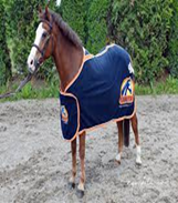 Cavalor Horse Cloth 155Cm