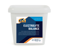 Electrolyte Balance 800 Gm