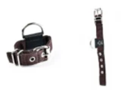 Pet collars L60cm*W 4cm 