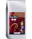 [422039] Nutribird P19 Tropical 10Kg