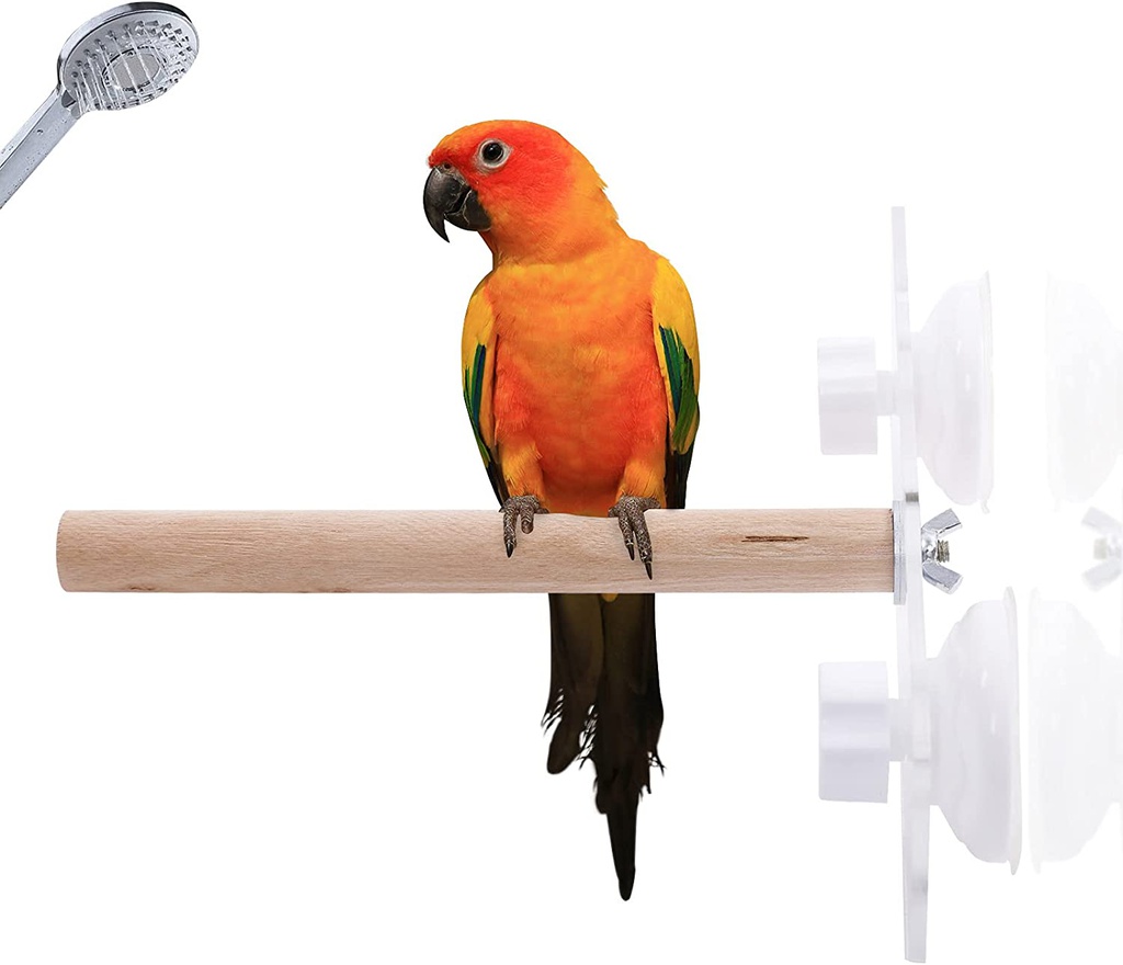 Parrot Wood Stand Dia 2Cm * L24Cm
