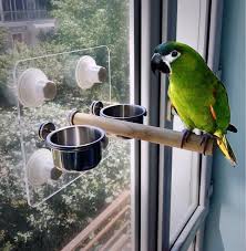 Parrot Wood Stand Dia 2Cm * L24Cm & 2 Ss Bowls