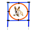 [6965232111229] Pet training agility circular shape