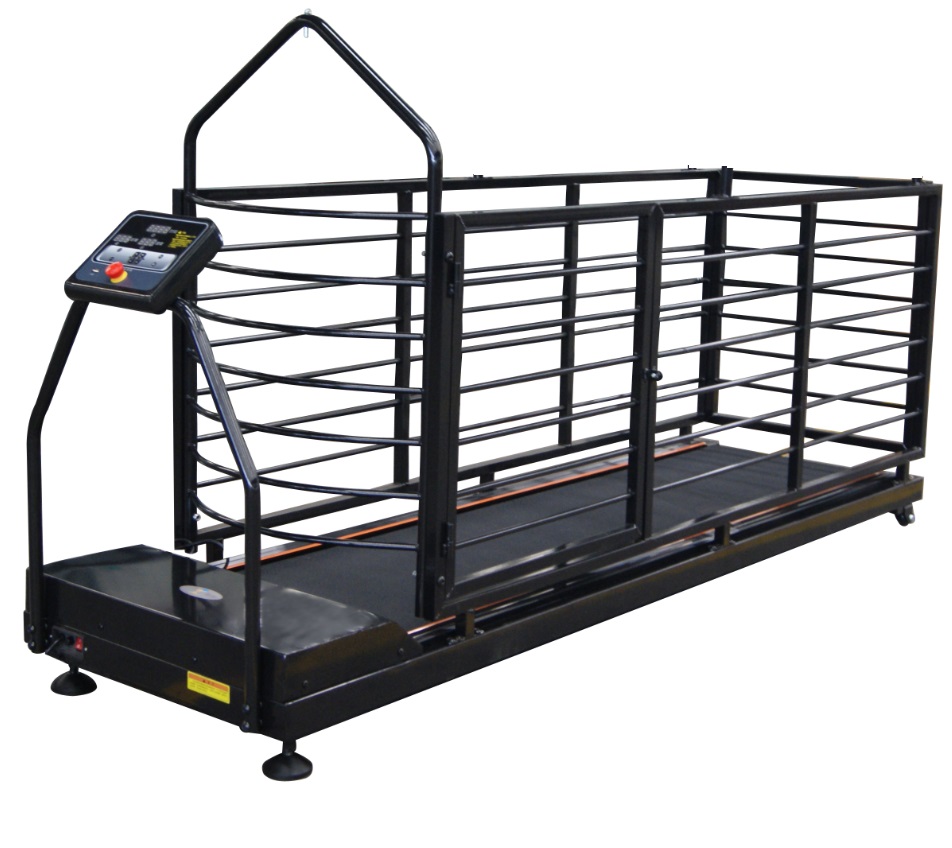 Dog Treadmill with incline 201*52cm