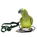 [8606995] Parrot Harness sml L189,H8cm Green
