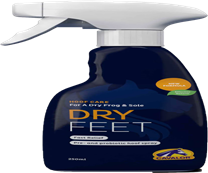 [82990904] Dry Feet 250ml